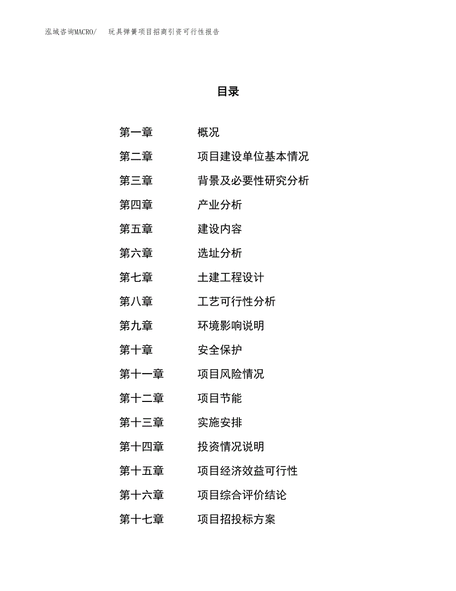 玩具弹簧项目招商引资可行性报告.docx_第1页