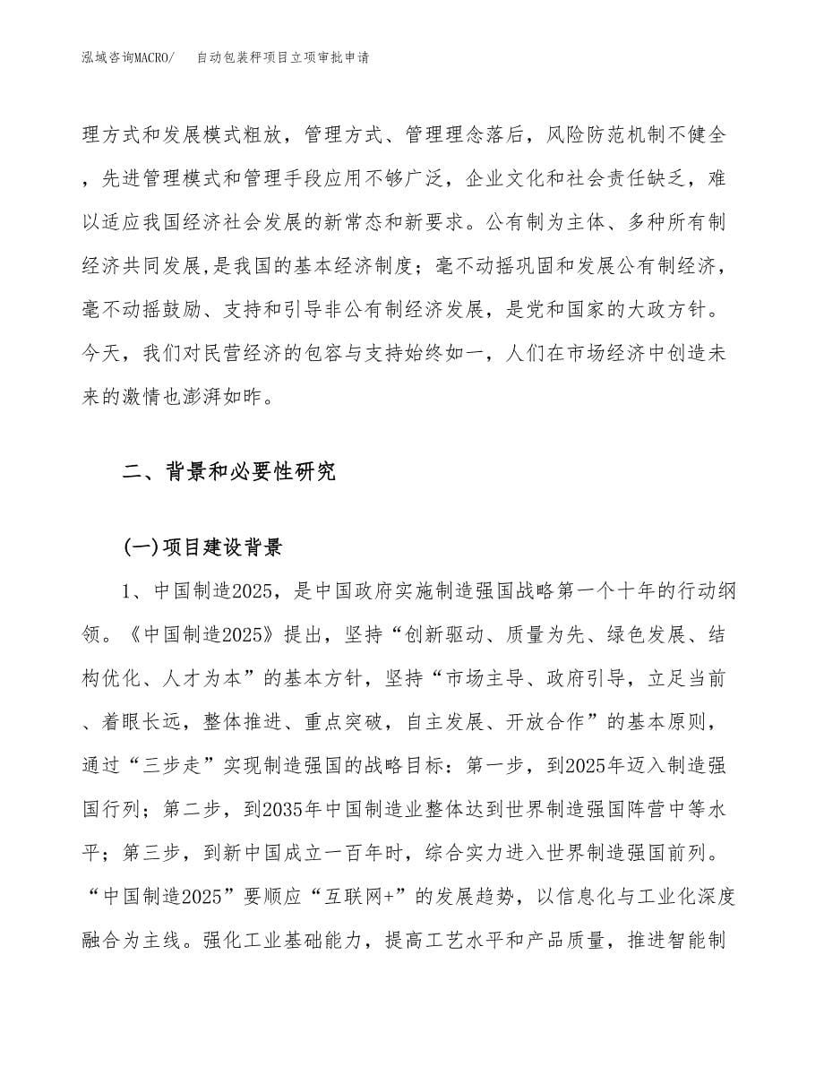 自动包装秤项目立项审批申请.docx_第5页