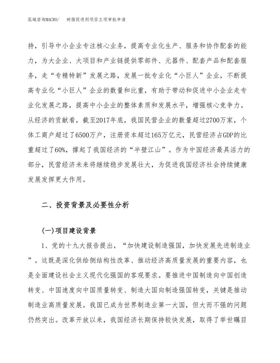 树脂促进剂项目立项审批申请.docx_第5页