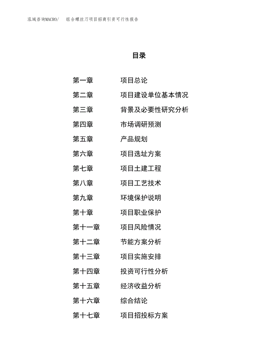 组合螺丝刀项目招商引资可行性报告.docx_第1页