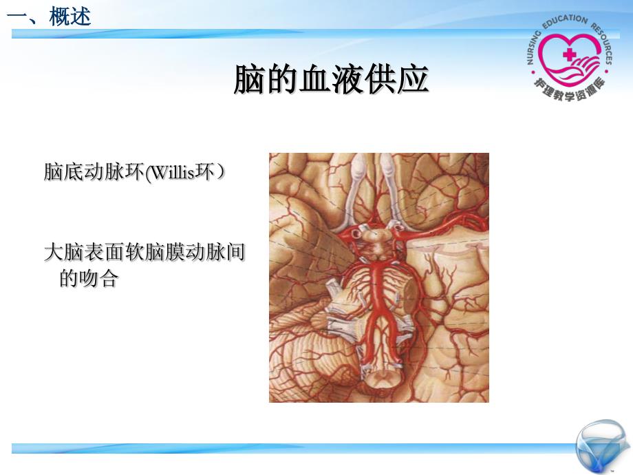 成人护理下册顾志华方志美3-2-脑血管疾病病人的护理_第3页