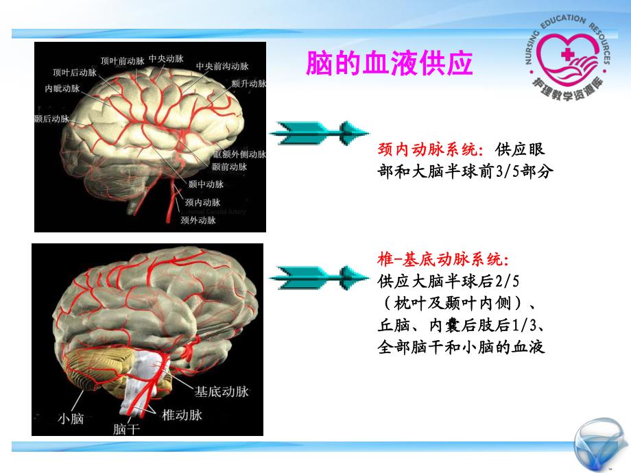 成人护理下册顾志华方志美3-2-脑血管疾病病人的护理_第4页
