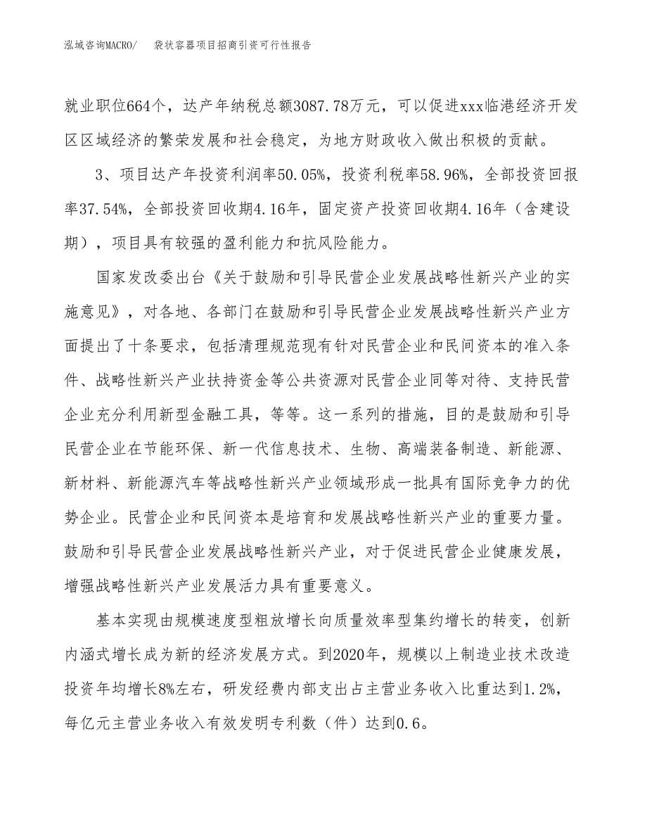 袋状容器项目招商引资可行性报告.docx_第5页