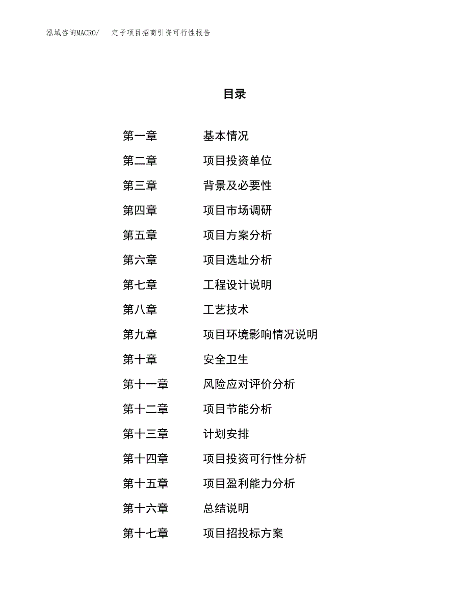 定子项目招商引资可行性报告.docx_第1页