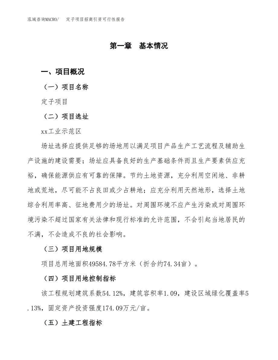 定子项目招商引资可行性报告.docx_第2页