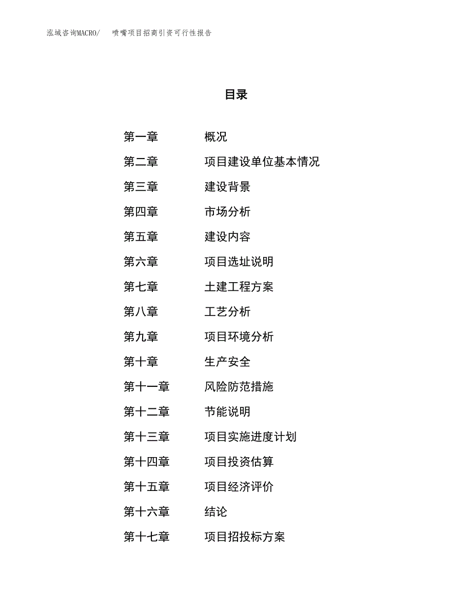 喷嘴项目招商引资可行性报告.docx_第1页