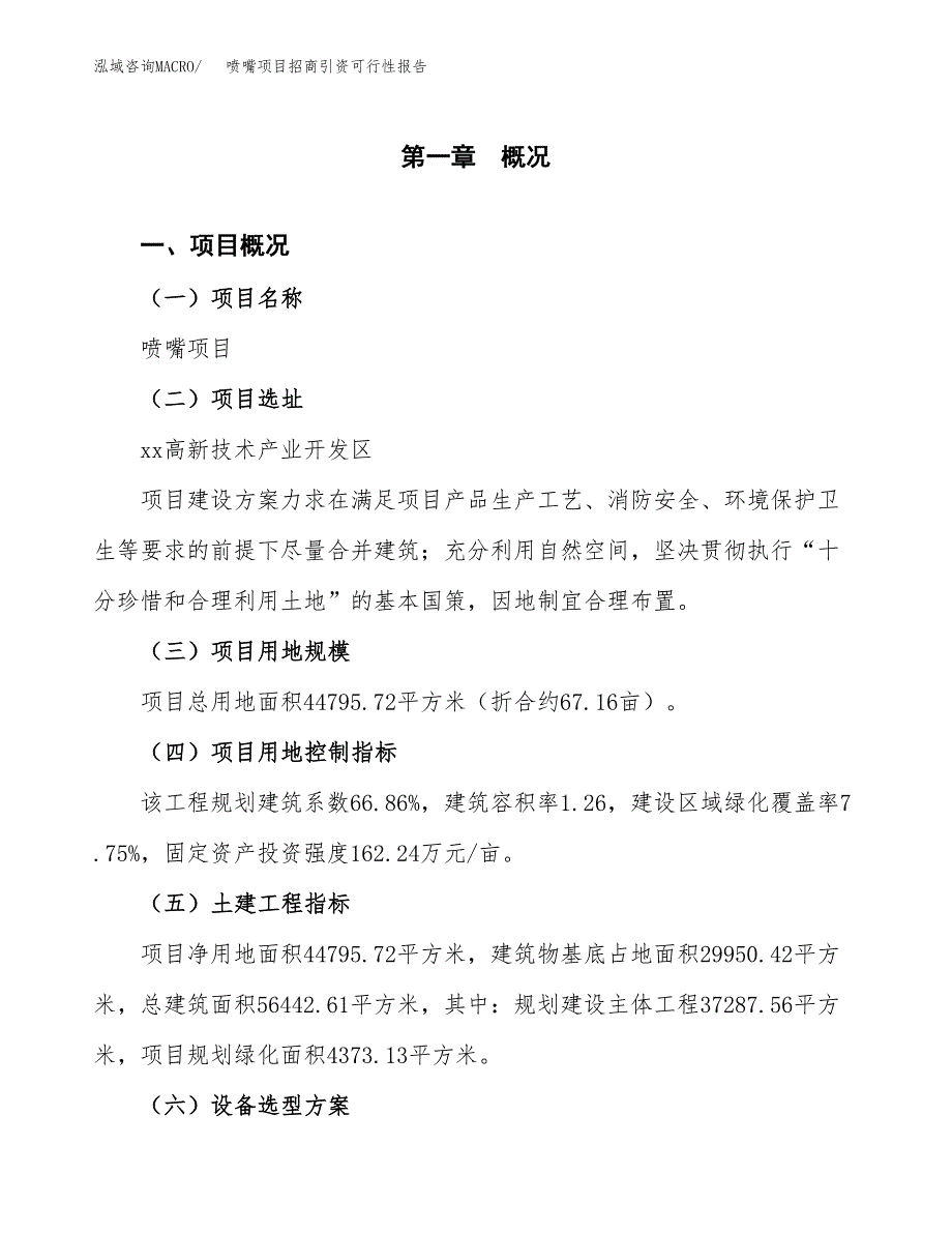 喷嘴项目招商引资可行性报告.docx_第2页