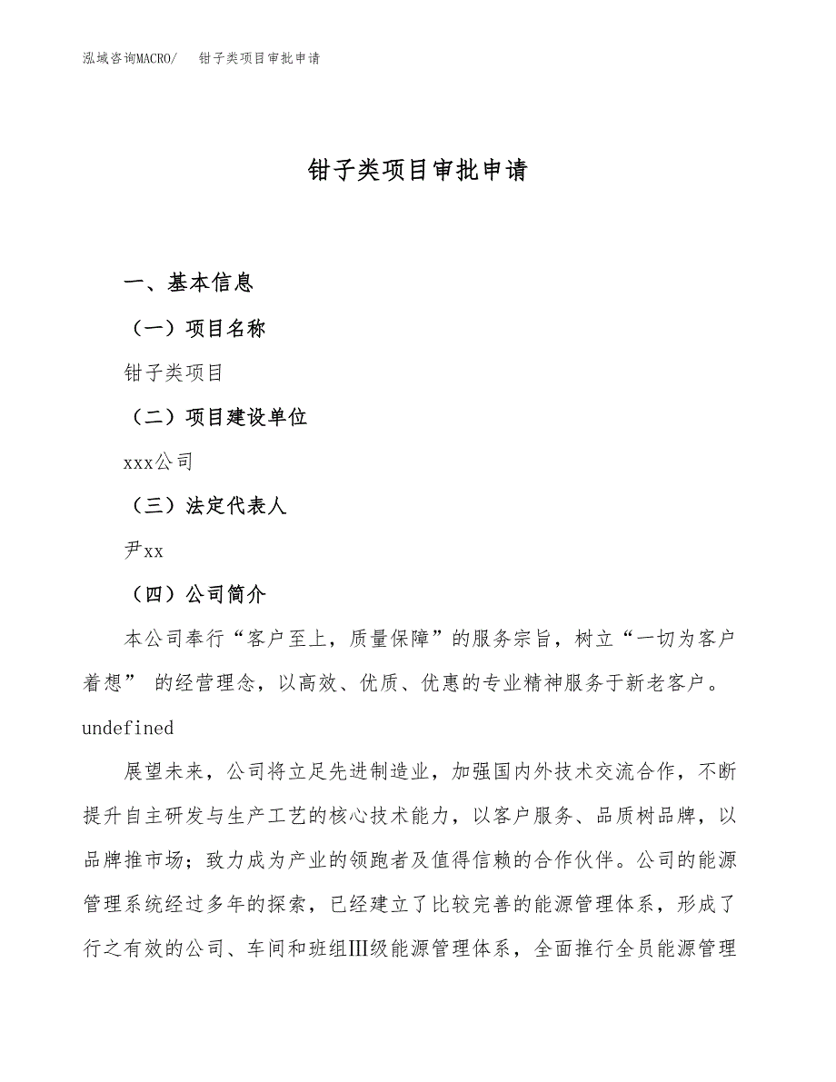 钳子类项目审批申请（总投资13000万元）.docx_第1页