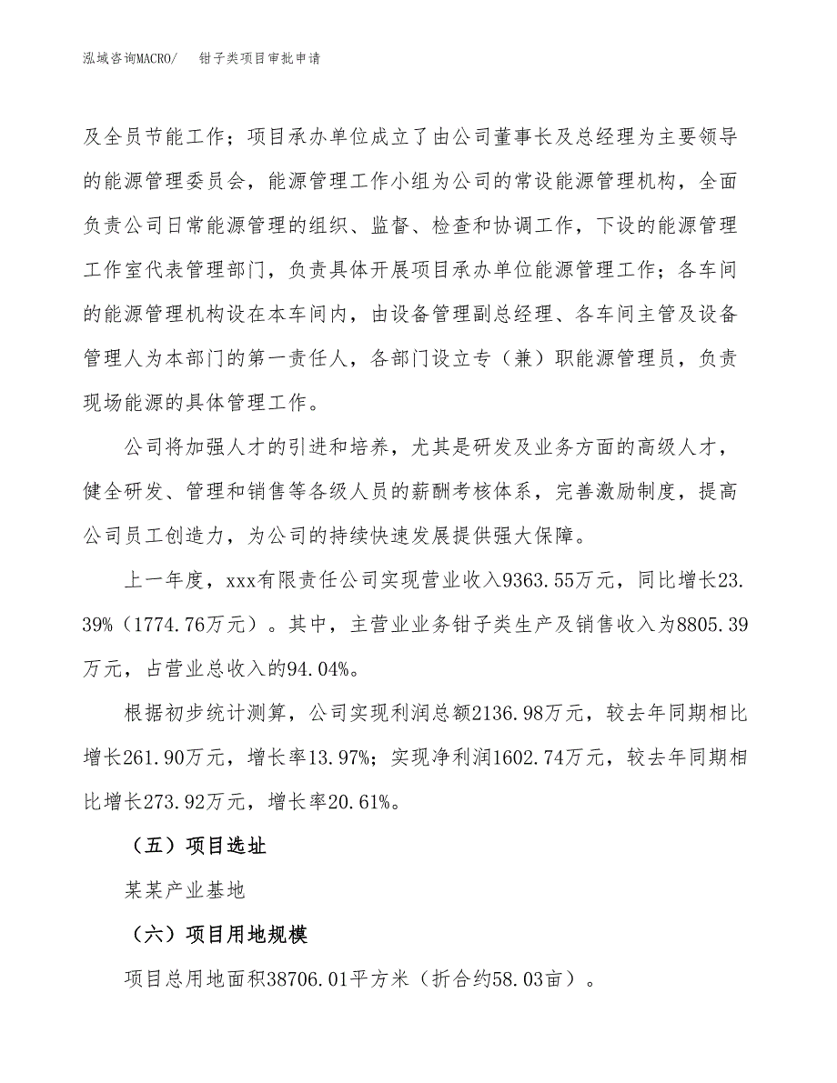 钳子类项目审批申请（总投资13000万元）.docx_第2页