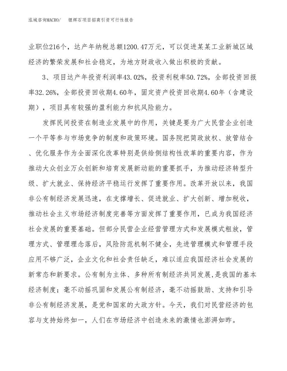 锂辉石项目招商引资可行性报告.docx_第5页