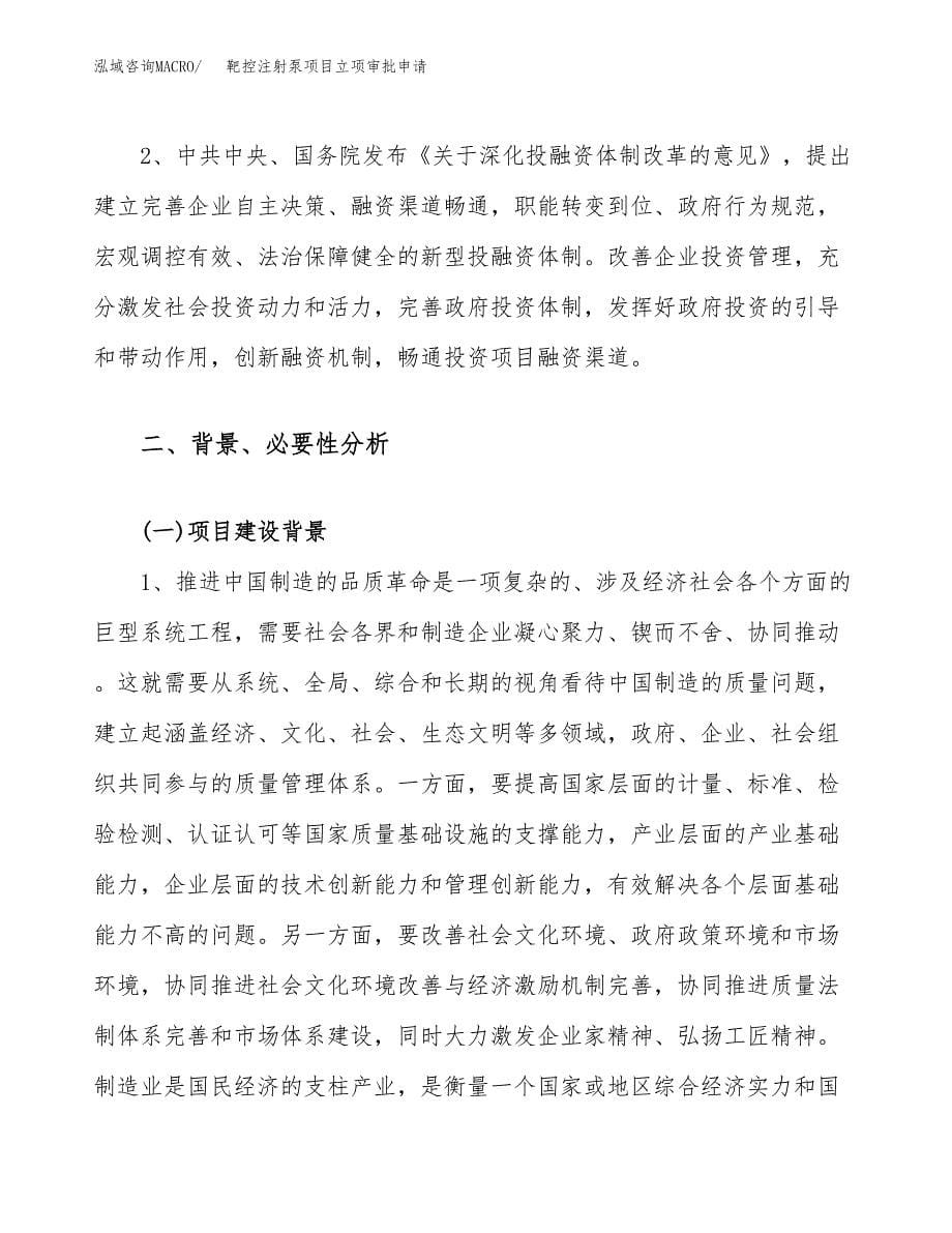 靶控注射泵项目立项审批申请.docx_第5页