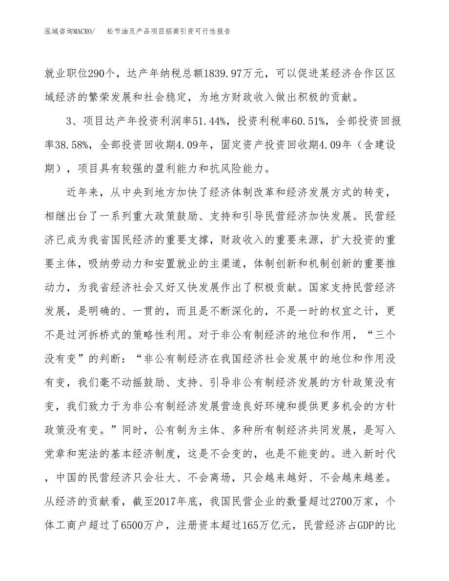 松节油及产品项目招商引资可行性报告.docx_第5页