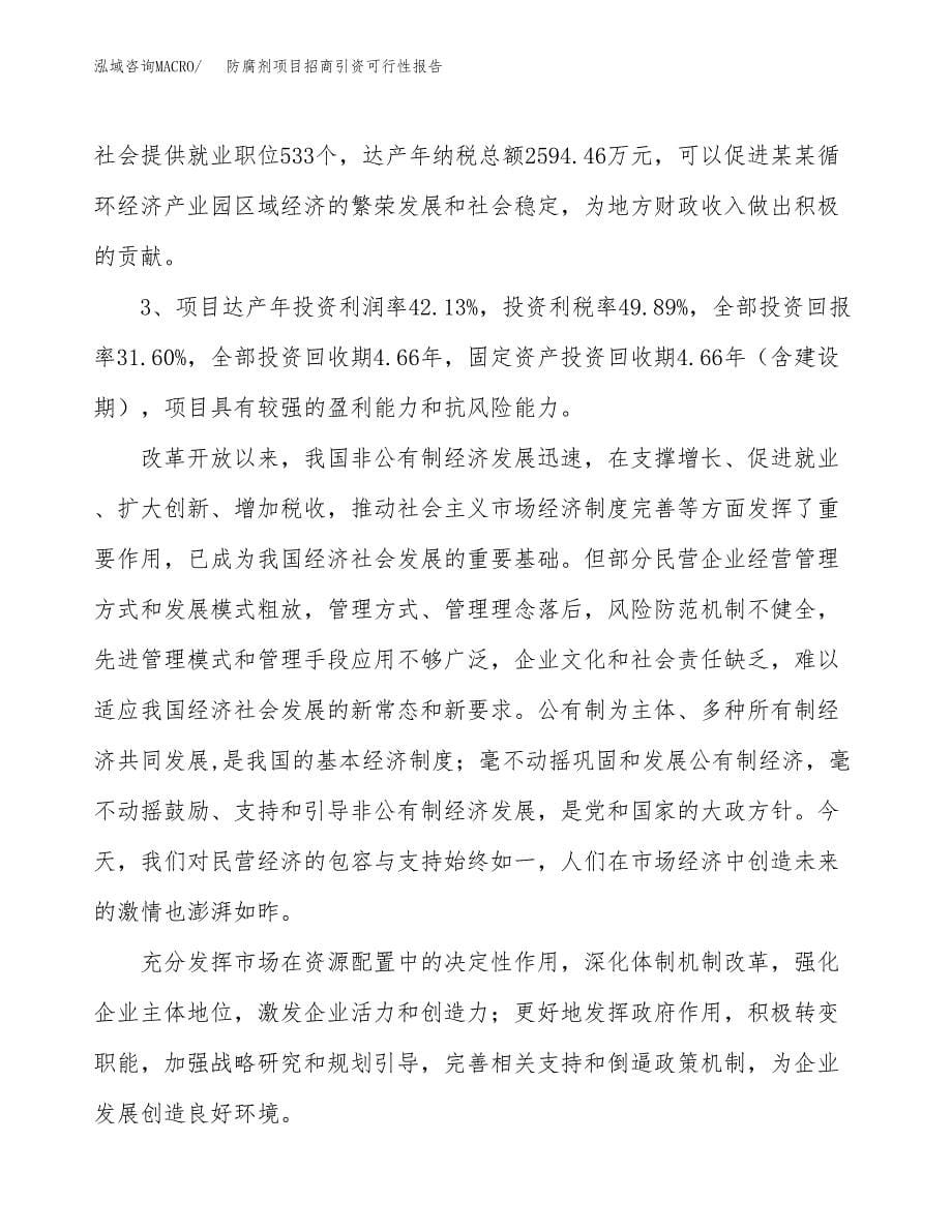 防腐剂项目招商引资可行性报告.docx_第5页