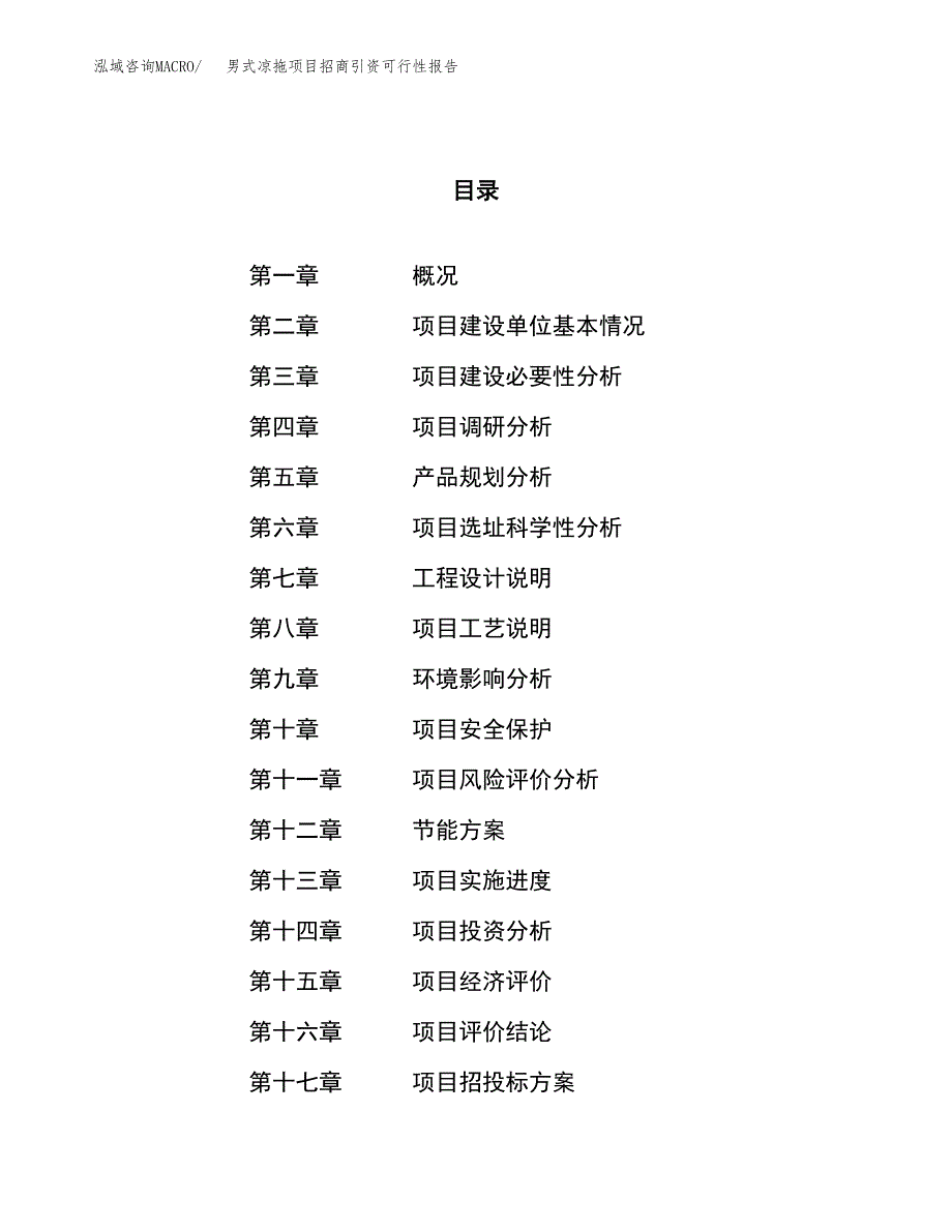 男式凉拖项目招商引资可行性报告.docx_第1页