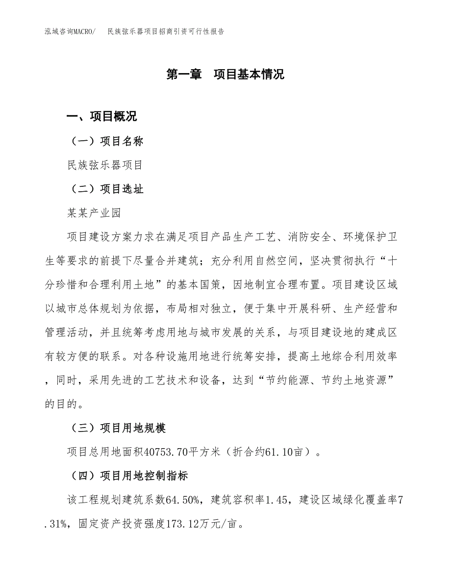 民族弦乐器项目招商引资可行性报告.docx_第2页