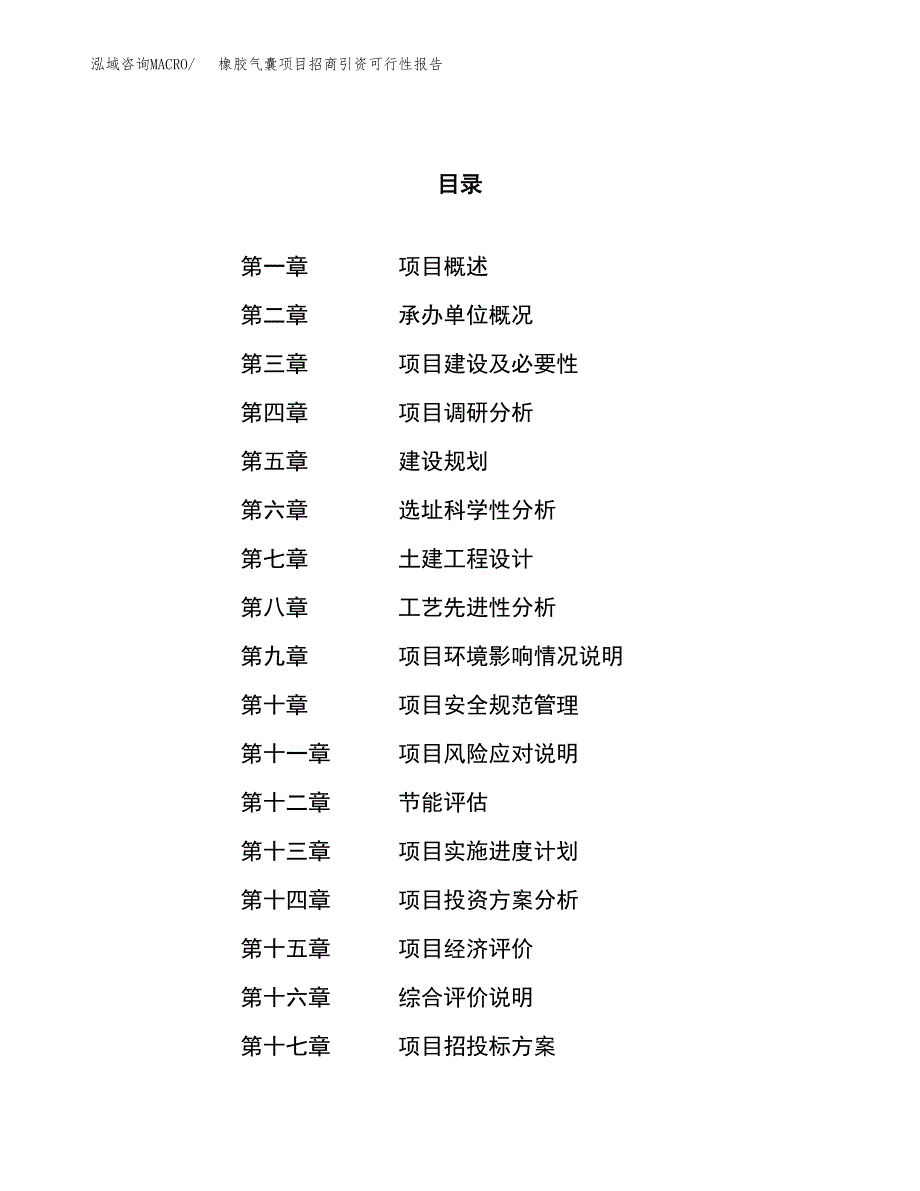 橡胶气囊项目招商引资可行性报告.docx_第1页