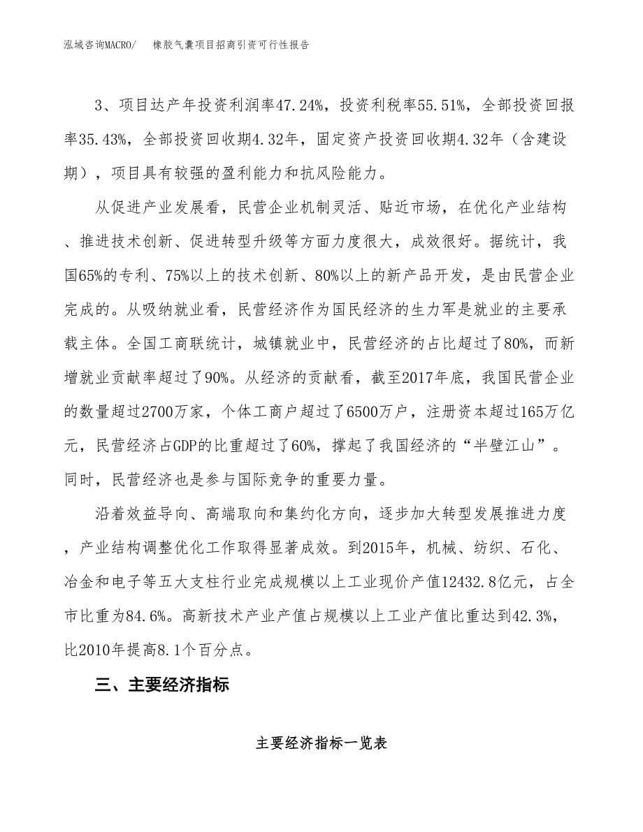 橡胶气囊项目招商引资可行性报告.docx_第5页