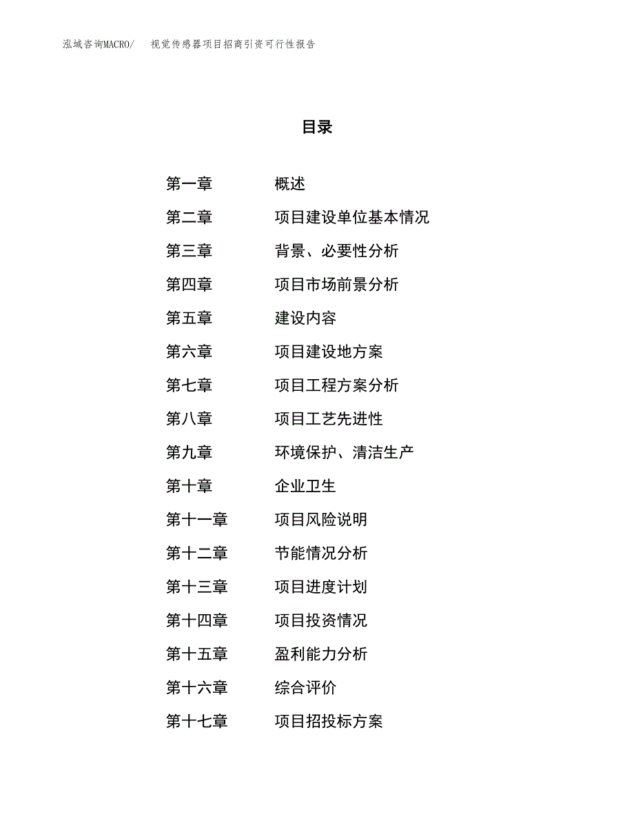 视觉传感器项目招商引资可行性报告.docx_第1页