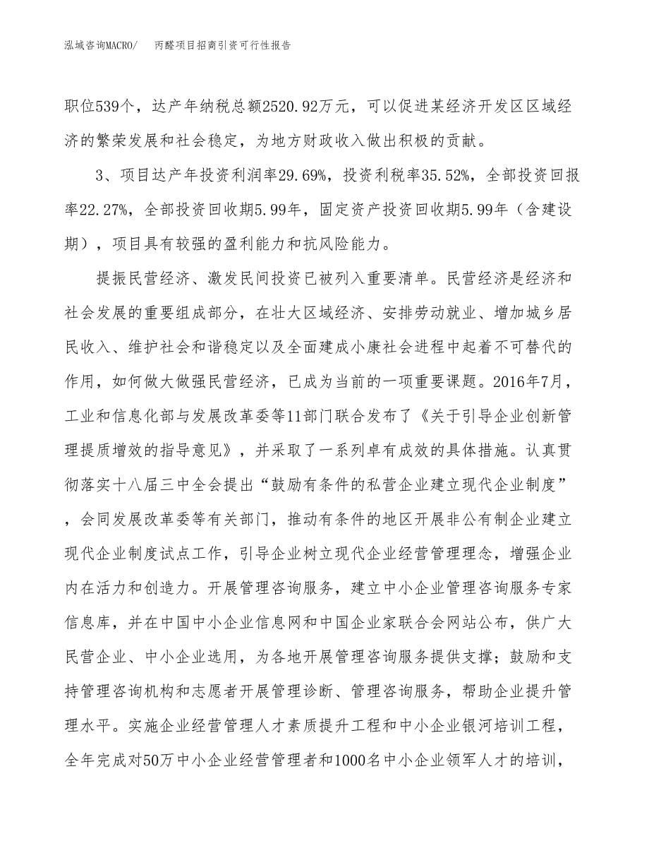 丙醛项目招商引资可行性报告.docx_第5页