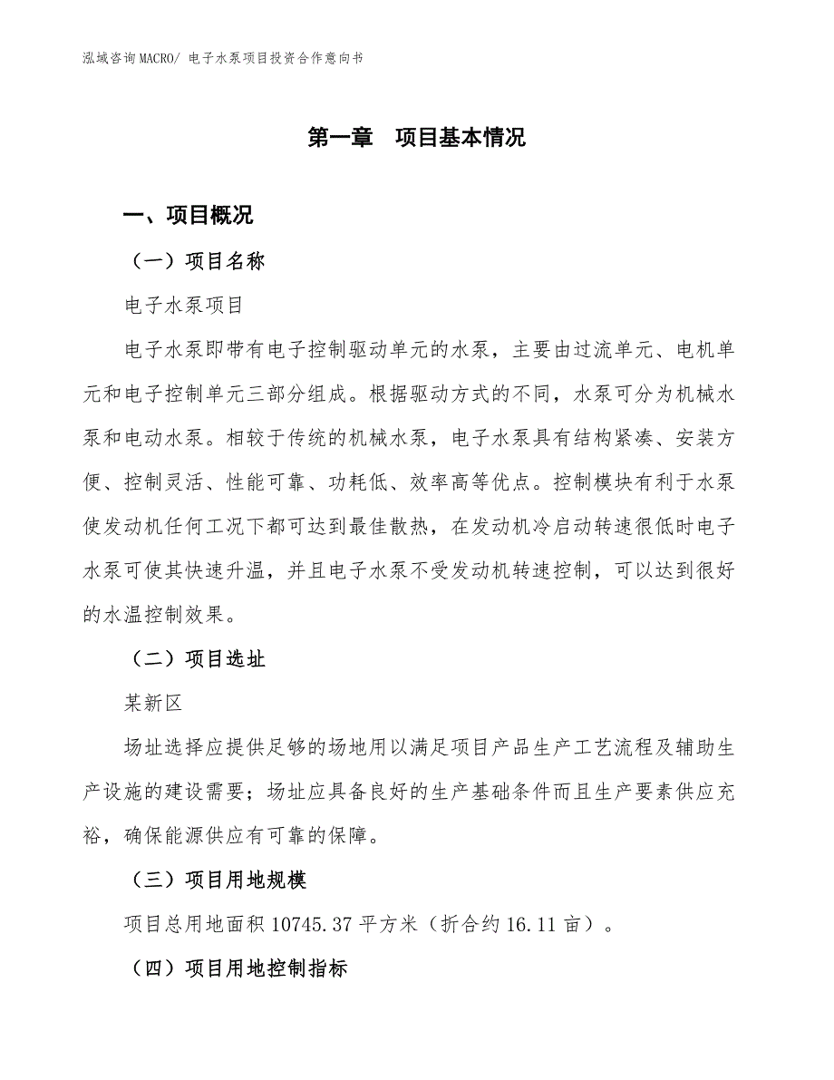 电子水泵项目投资合作意向书_第1页