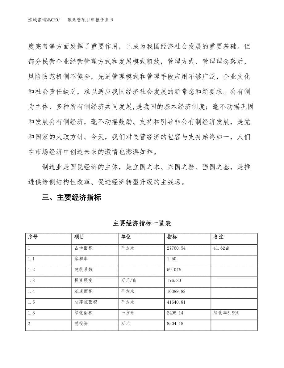 碳素管项目申报任务书.docx_第5页