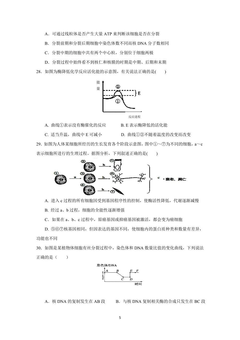 2017-2018年校高一下学期半期考试生物试题.doc_第5页