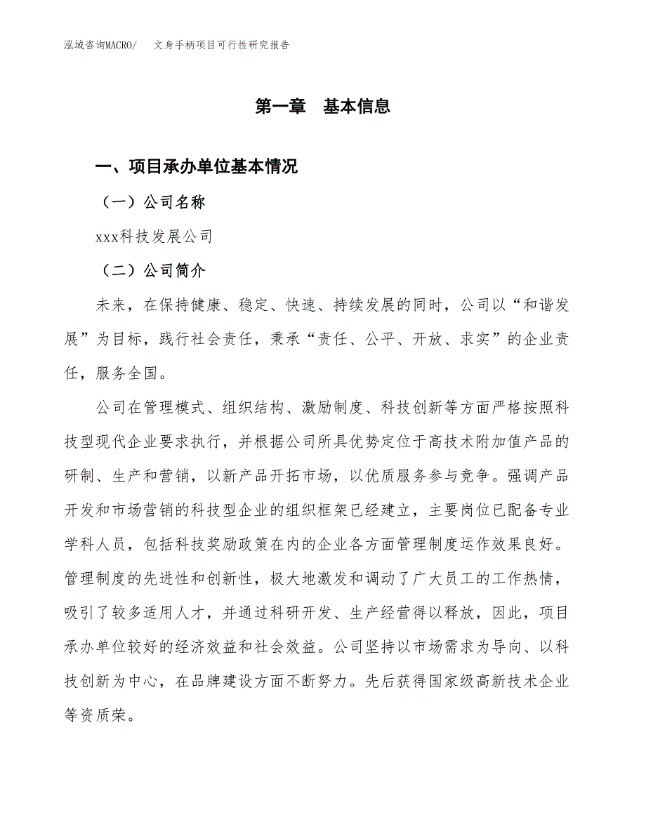 文身手柄项目可行性研究报告（总投资8000万元）（35亩）_第3页