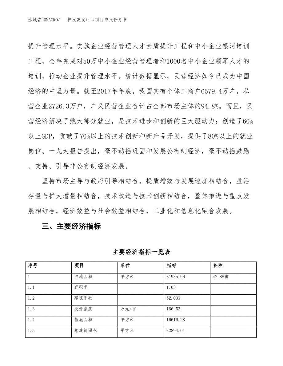 护发美发用品项目申报任务书.docx_第5页