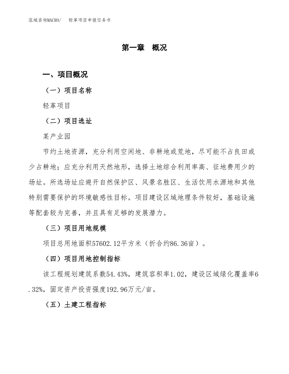 轻革项目申报任务书.docx_第1页