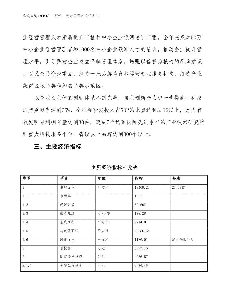 灯管、泡壳项目申报任务书.docx_第5页