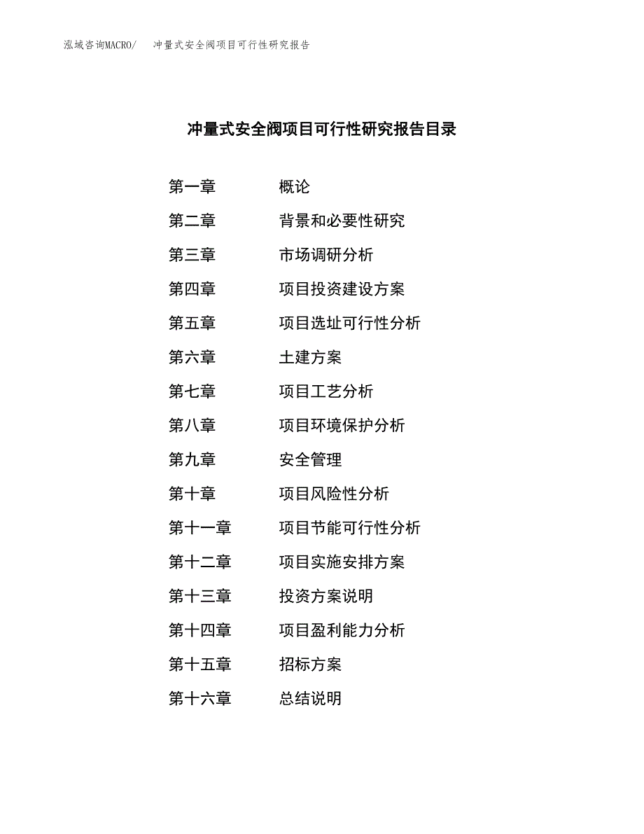 冲量式安全阀项目可行性研究报告（总投资15000万元）（69亩）_第2页