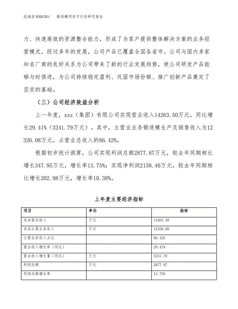 锻造模项目可行性研究报告（总投资19000万元）（85亩）_第5页