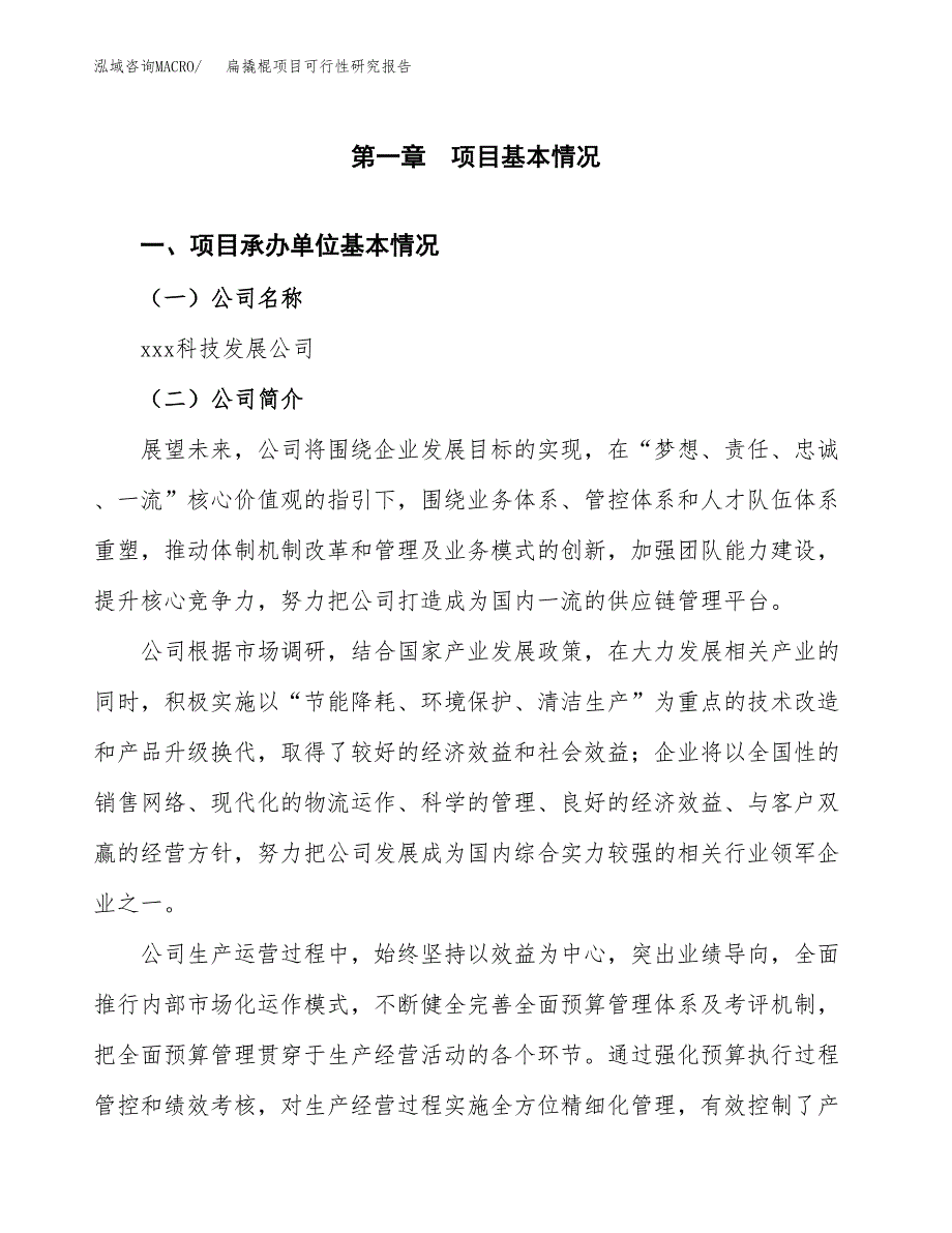 扁撬棍项目可行性研究报告（总投资13000万元）（51亩）_第3页