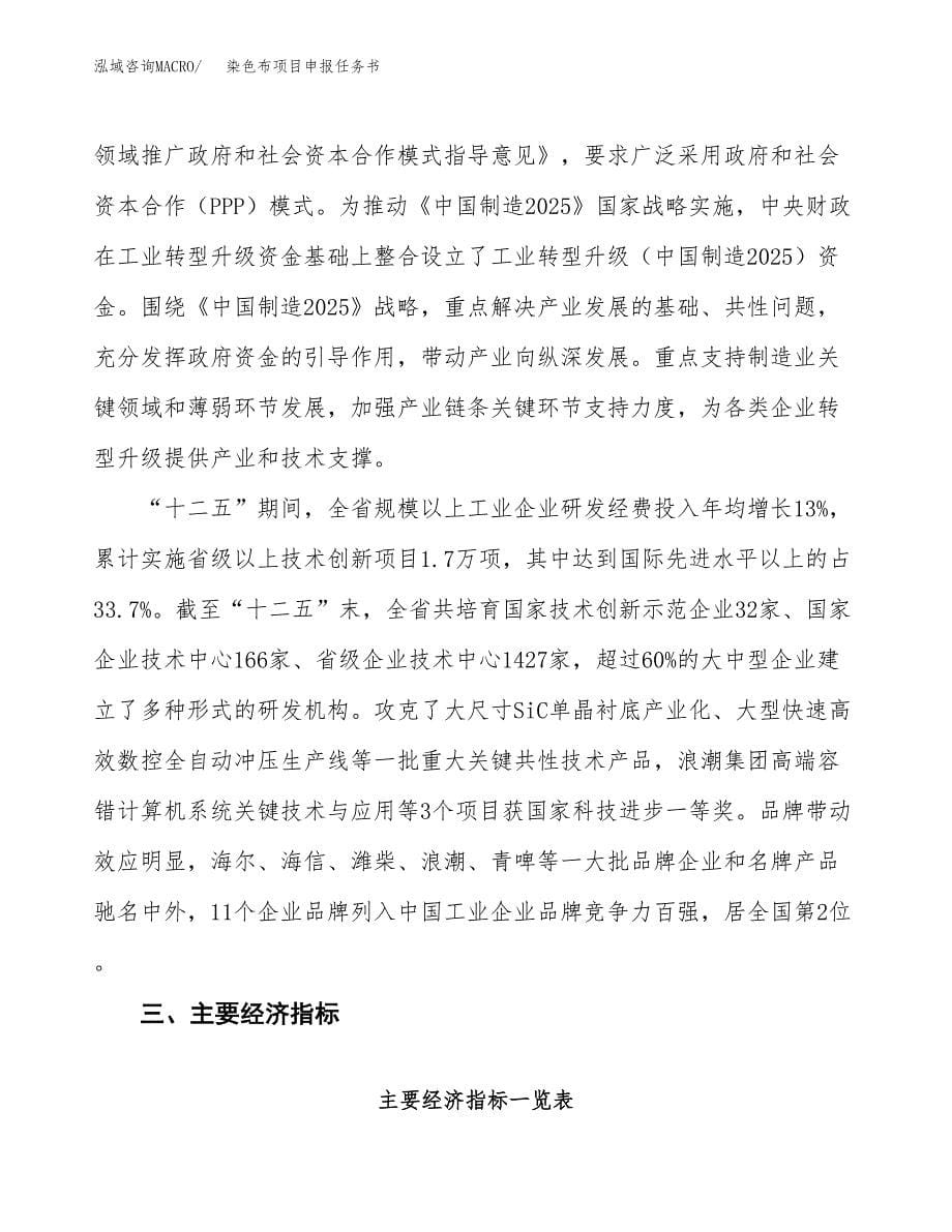 染色布项目申报任务书.docx_第5页