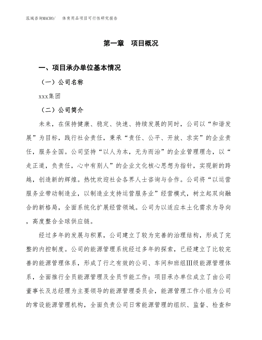 体育用品项目可行性研究报告（总投资11000万元）（46亩）_第3页