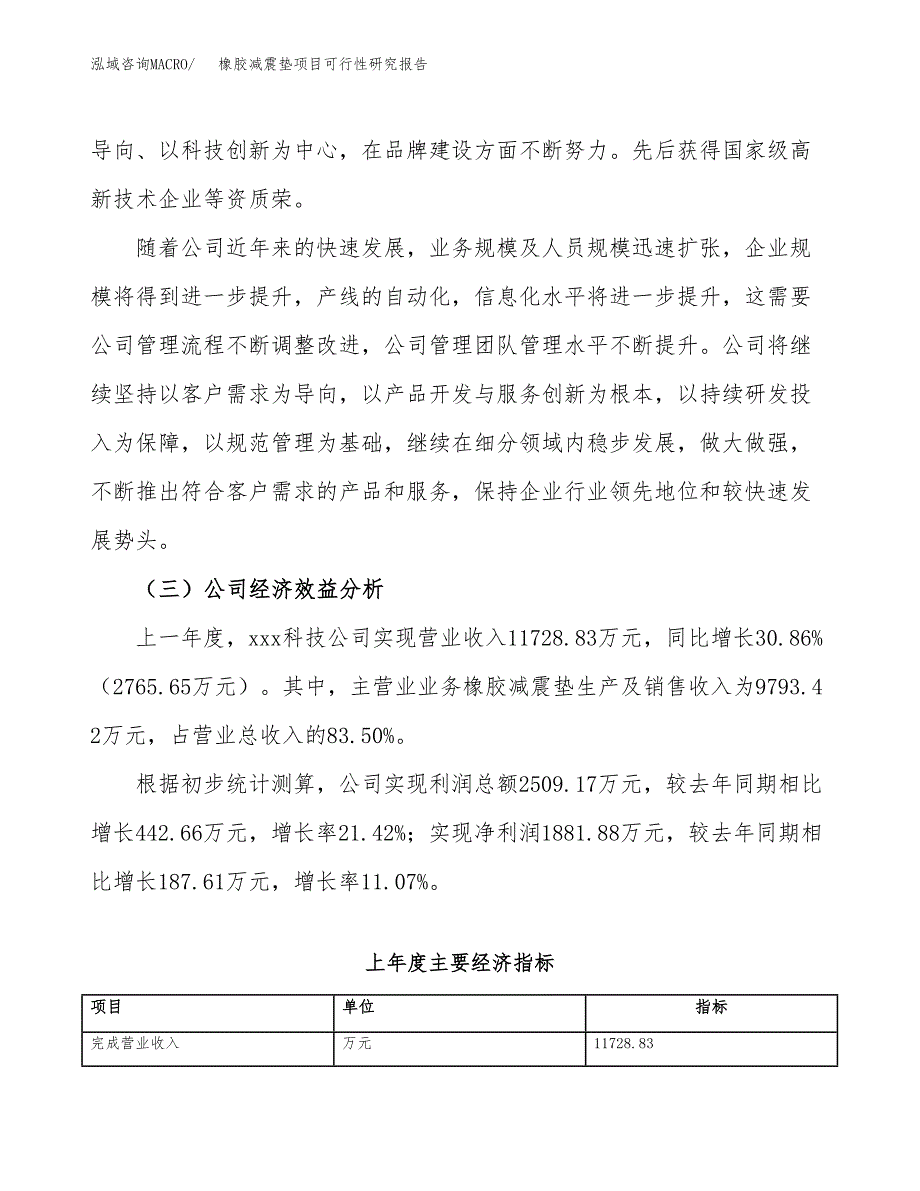 橡胶减震垫项目可行性研究报告（总投资7000万元）（31亩）_第4页