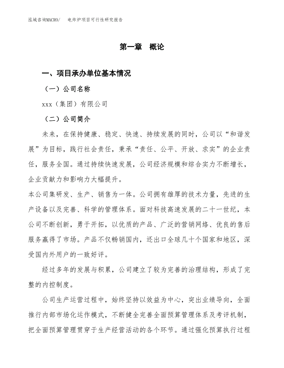 电炸炉项目可行性研究报告（总投资16000万元）（67亩）_第3页