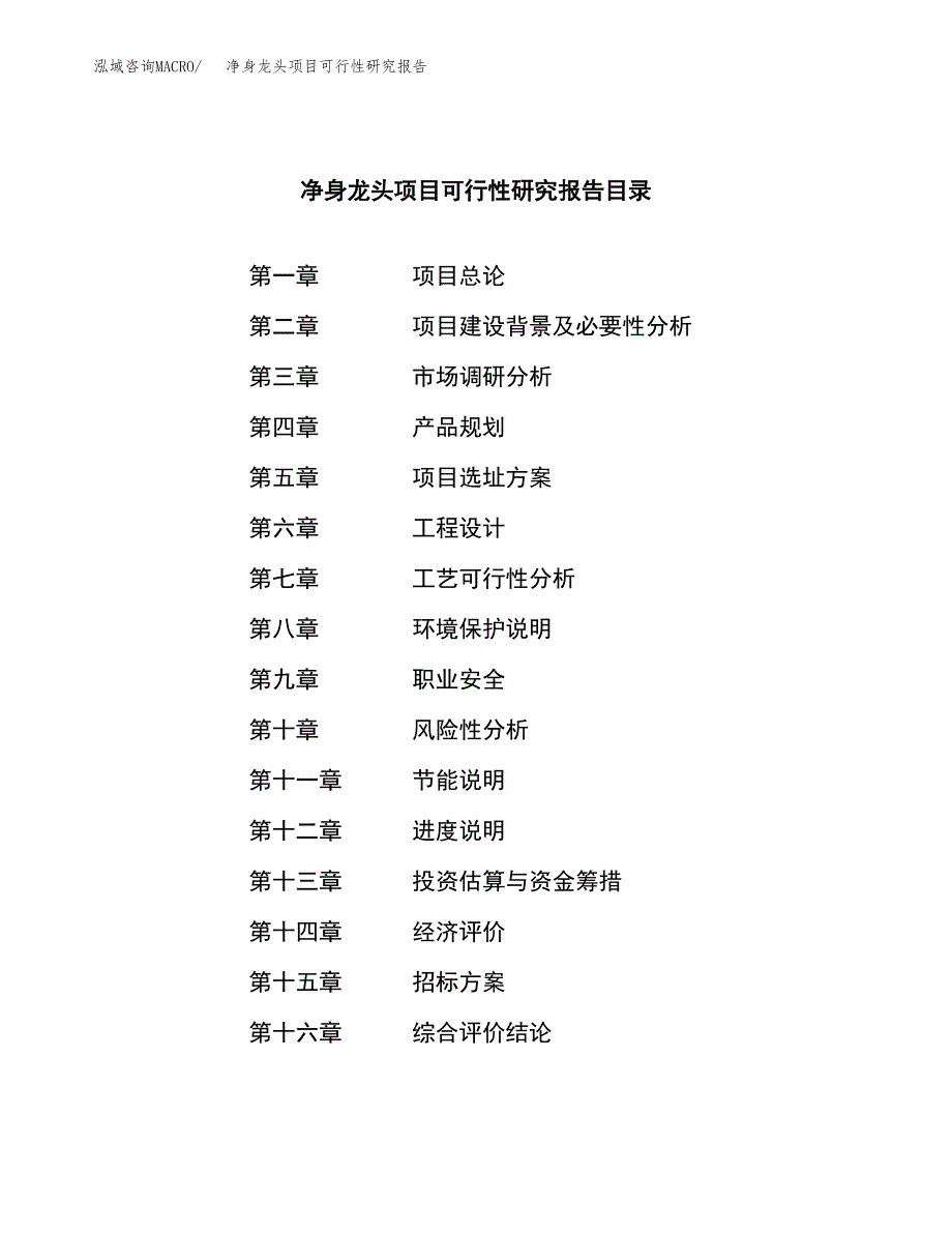 净身龙头项目可行性研究报告（总投资14000万元）（58亩）_第2页