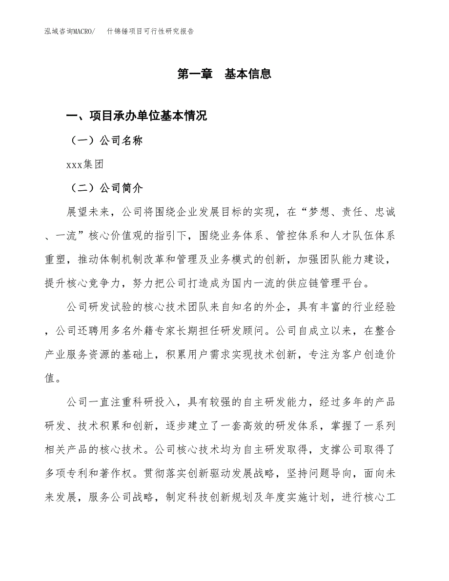 什锦锤项目可行性研究报告（总投资7000万元）（30亩）_第3页