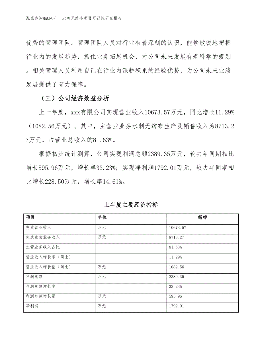 水刺无纺布项目可行性研究报告（总投资8000万元）（30亩）_第4页