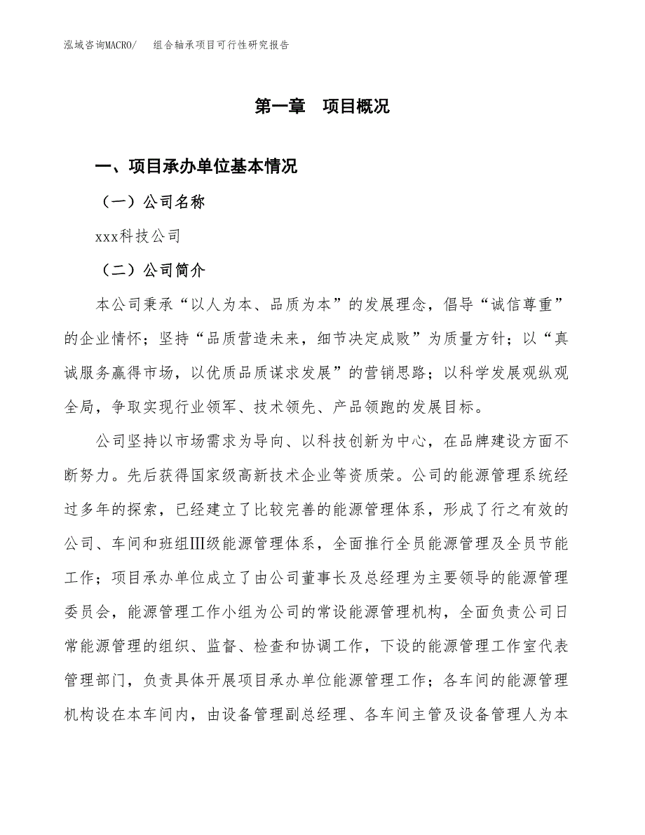 组合轴承项目可行性研究报告（总投资8000万元）（36亩）_第3页