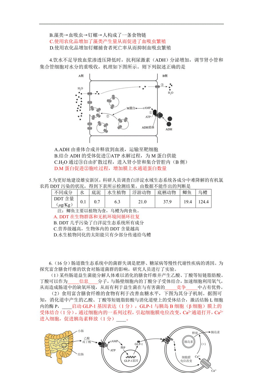 2018年北京市海淀区高三生物模拟查漏补缺题（1）.doc_第2页