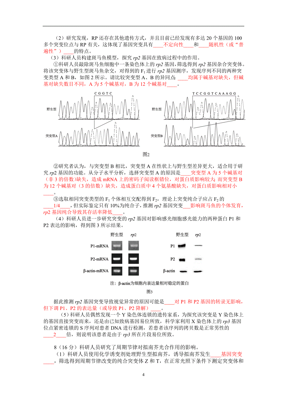 2018年北京市海淀区高三生物模拟查漏补缺题（1）.doc_第4页