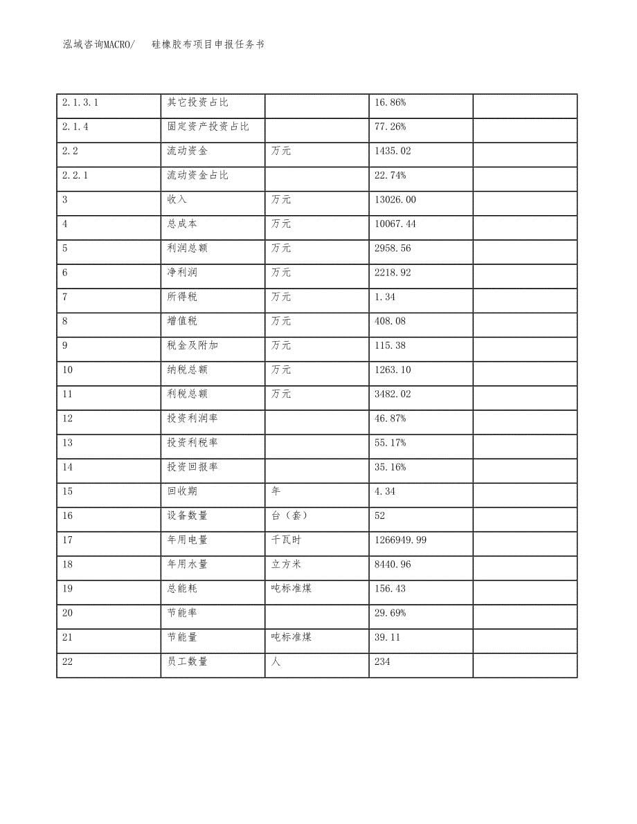 硅橡胶布项目申报任务书.docx_第5页