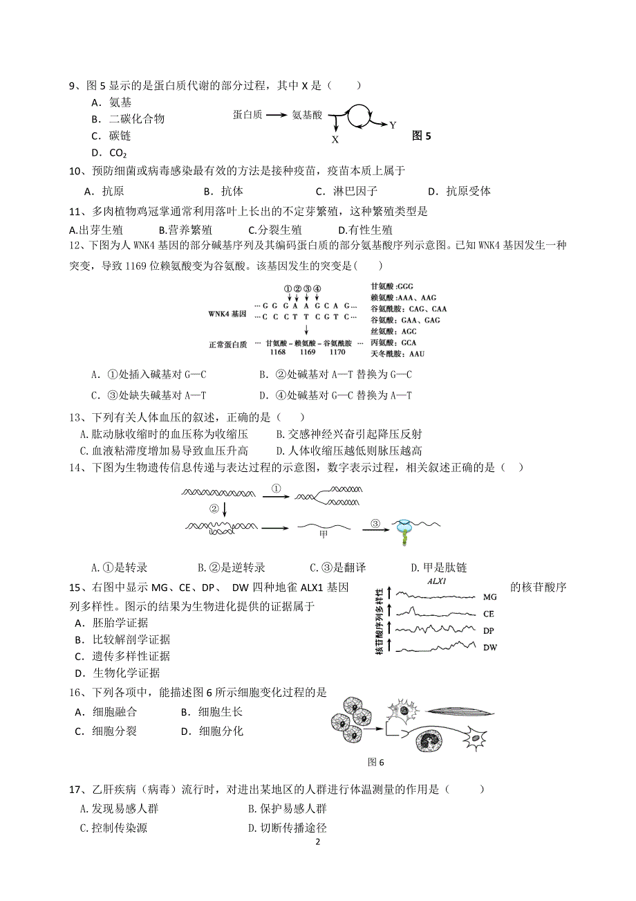 2018年上海市徐汇区高三下学期质量调研测试生物卷（二模）.doc_第2页