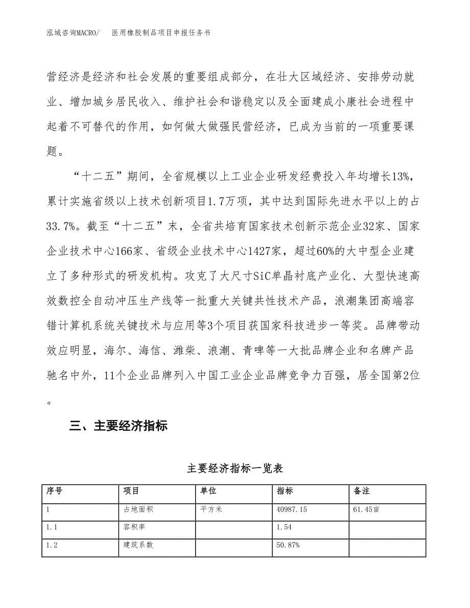 医用橡胶制品项目申报任务书.docx_第5页