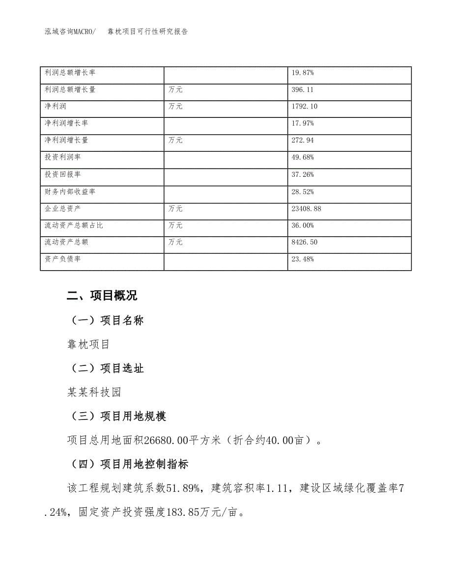 靠枕项目可行性研究报告（总投资10000万元）（40亩）_第5页