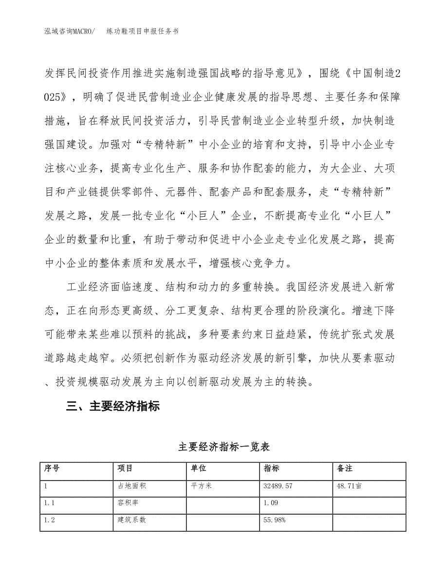 练功鞋项目申报任务书.docx_第5页