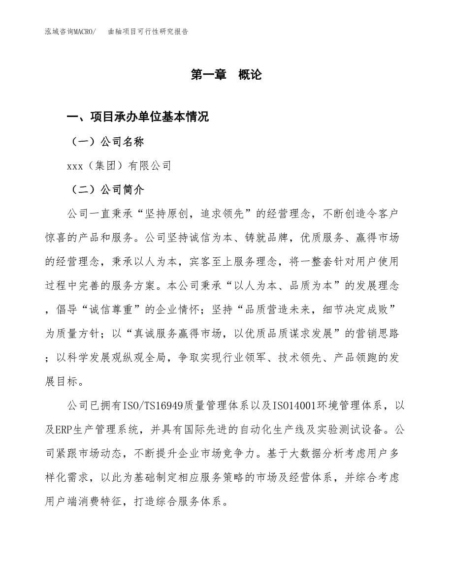 曲轴项目可行性研究报告（总投资15000万元）（70亩）_第5页