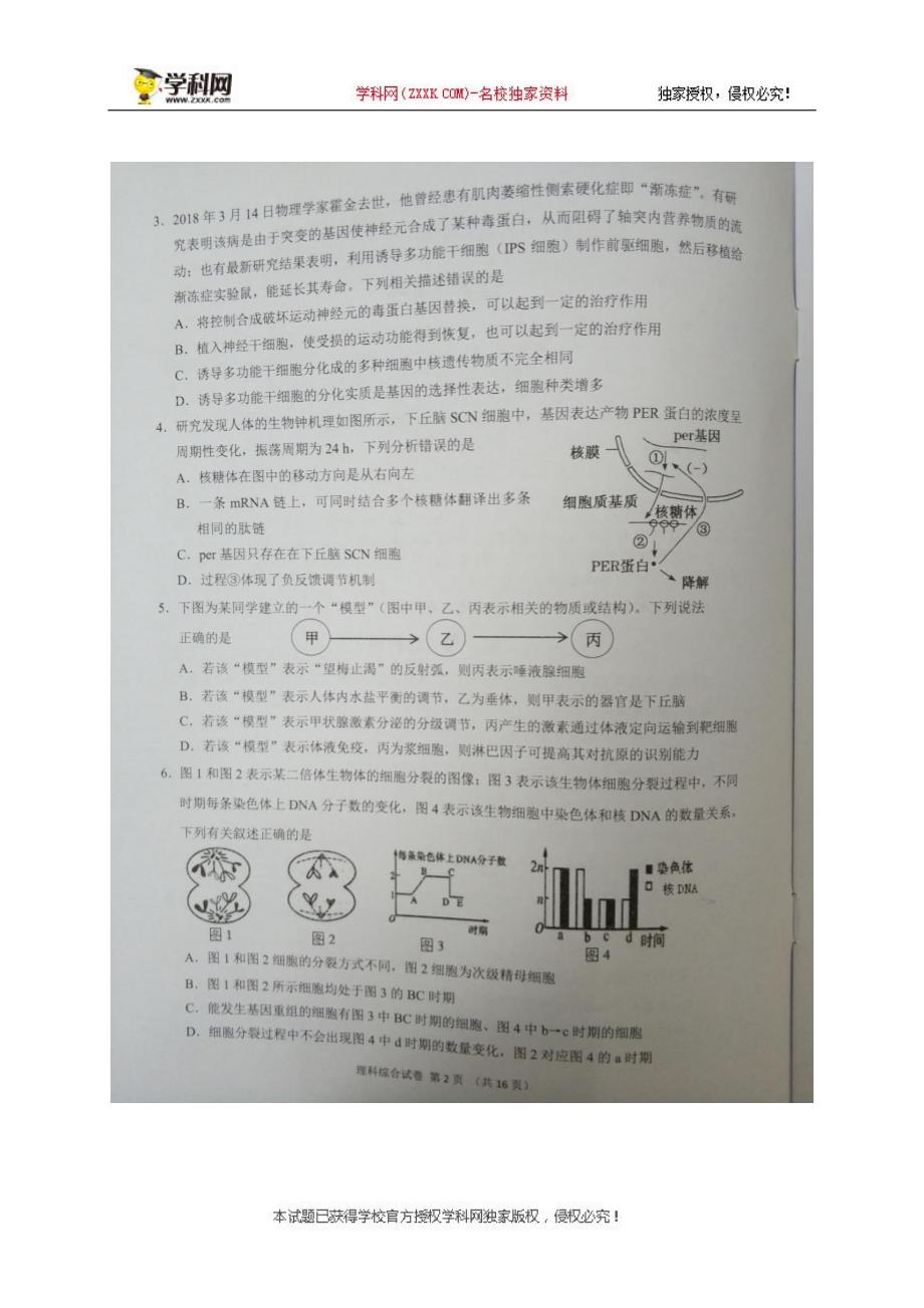 2018年湖南G10教育联盟4月高三联考理综试题（图片版）.pdf_第2页